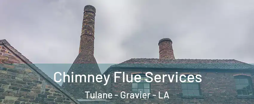 Chimney Flue Services Tulane - Gravier - LA