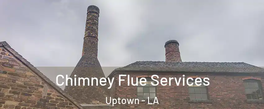 Chimney Flue Services Uptown - LA