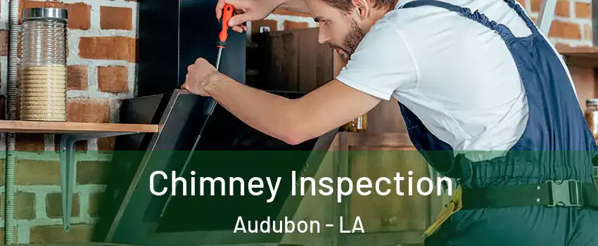 Chimney Inspection Audubon - LA