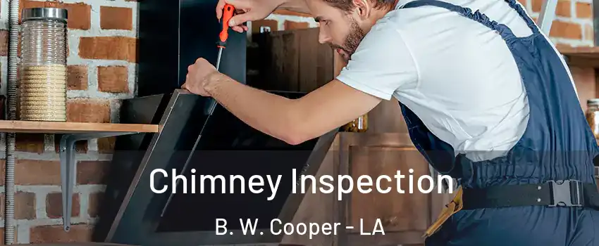 Chimney Inspection B. W. Cooper - LA