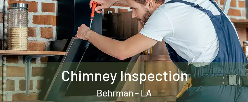 Chimney Inspection Behrman - LA