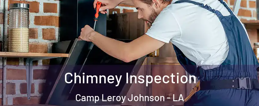 Chimney Inspection Camp Leroy Johnson - LA