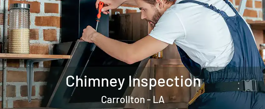 Chimney Inspection Carrollton - LA