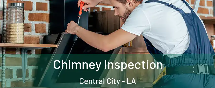 Chimney Inspection Central City - LA