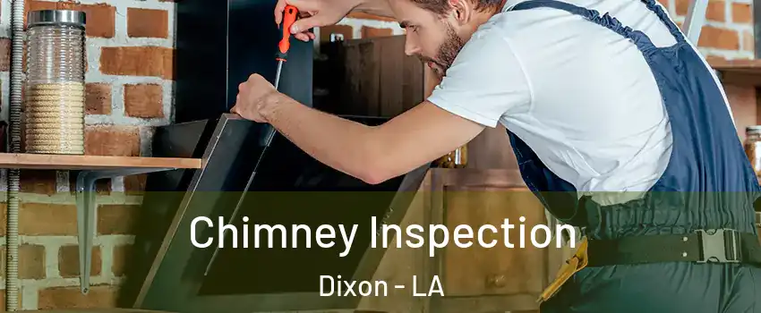 Chimney Inspection Dixon - LA