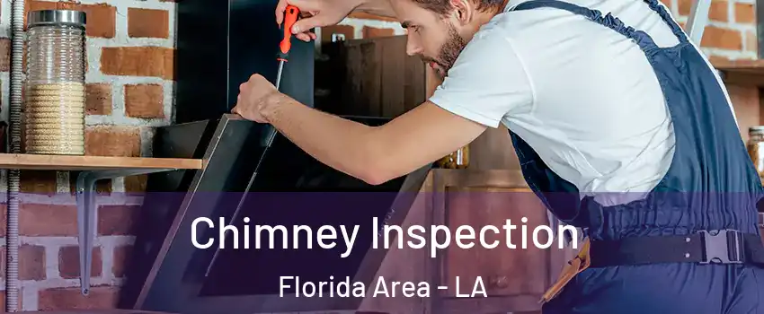 Chimney Inspection Florida Area - LA