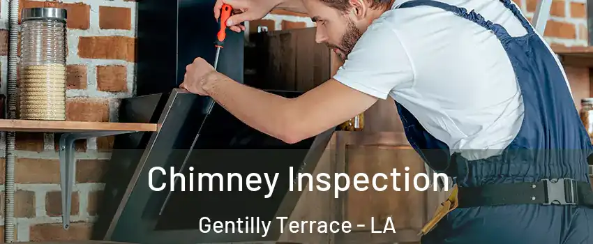 Chimney Inspection Gentilly Terrace - LA