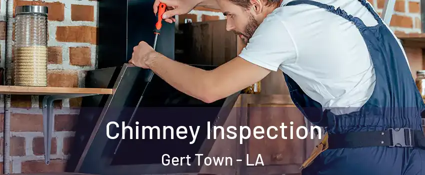 Chimney Inspection Gert Town - LA