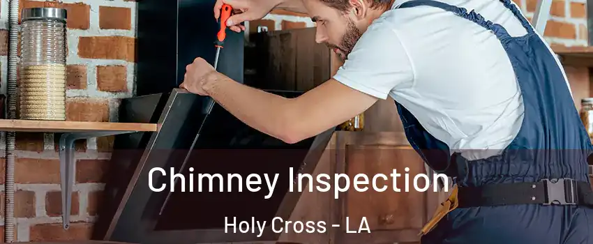 Chimney Inspection Holy Cross - LA