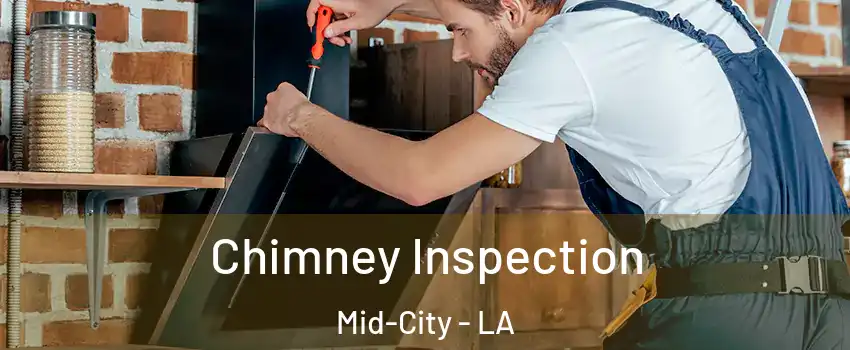 Chimney Inspection Mid-City - LA