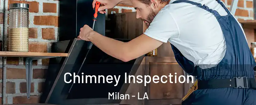 Chimney Inspection Milan - LA