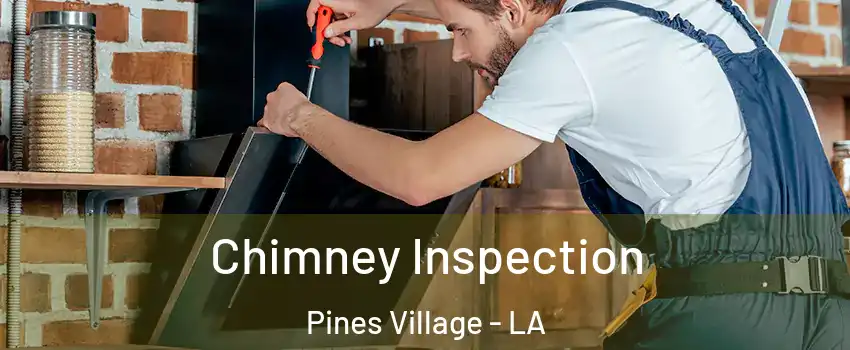 Chimney Inspection Pines Village - LA