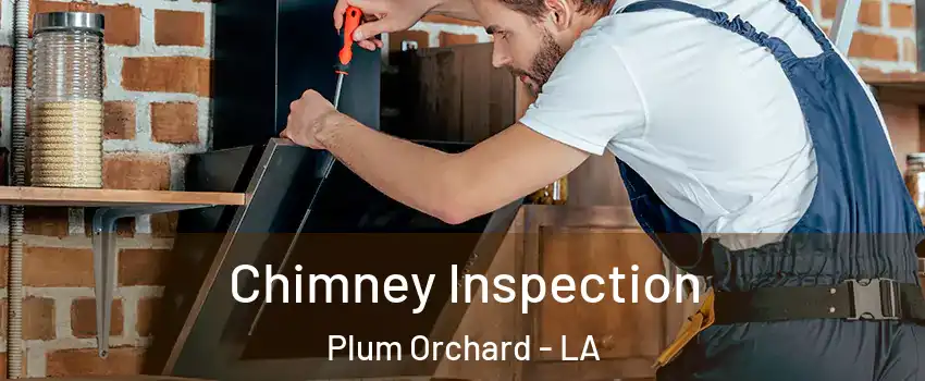 Chimney Inspection Plum Orchard - LA