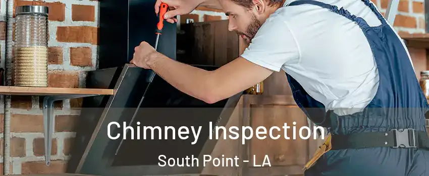 Chimney Inspection South Point - LA