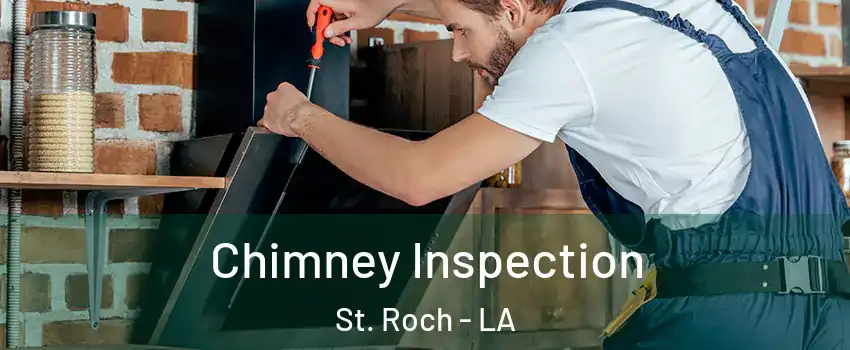 Chimney Inspection St. Roch - LA