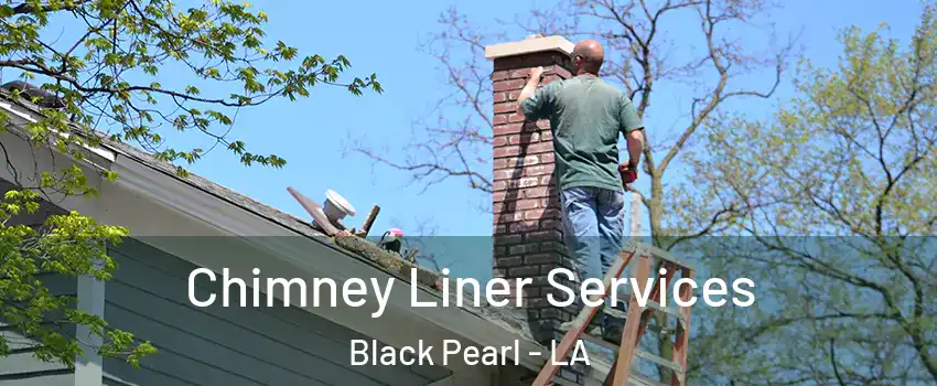 Chimney Liner Services Black Pearl - LA