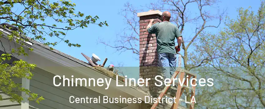 Chimney Liner Services Central Business District - LA