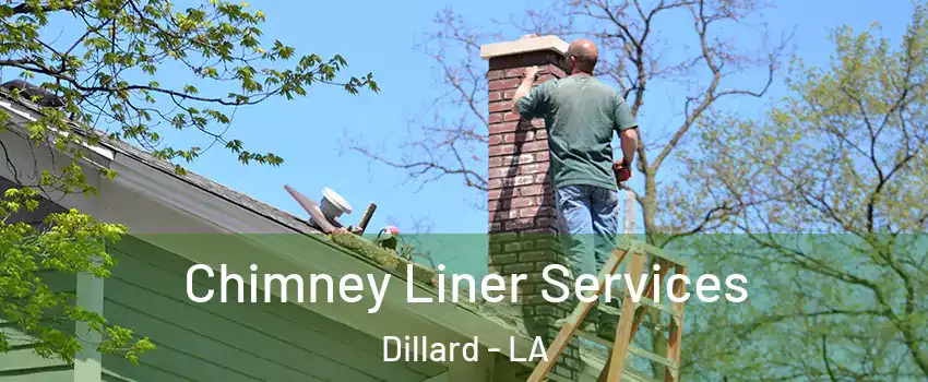 Chimney Liner Services Dillard - LA