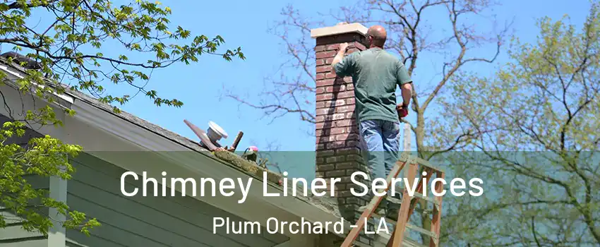 Chimney Liner Services Plum Orchard - LA