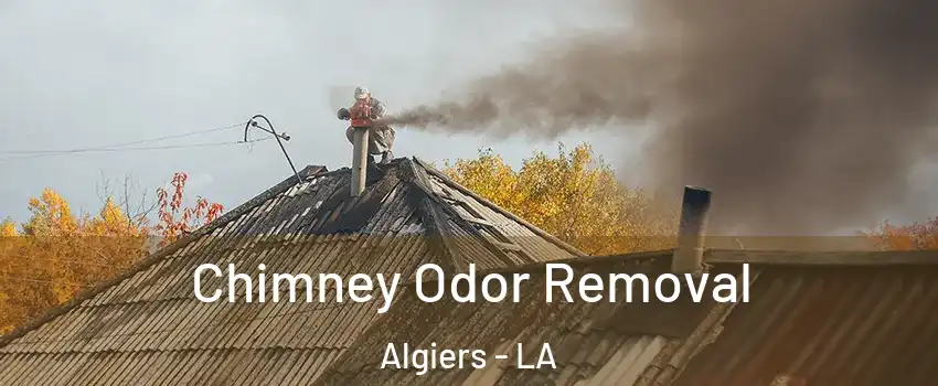 Chimney Odor Removal Algiers - LA