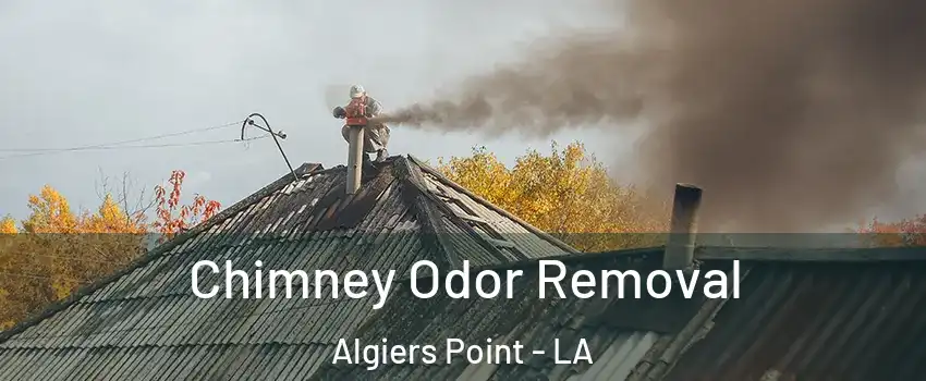 Chimney Odor Removal Algiers Point - LA