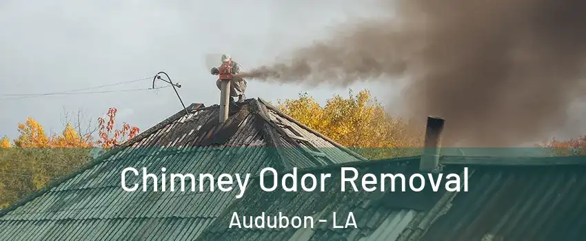 Chimney Odor Removal Audubon - LA