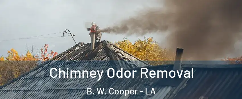 Chimney Odor Removal B. W. Cooper - LA