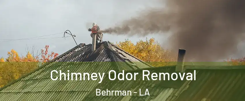 Chimney Odor Removal Behrman - LA