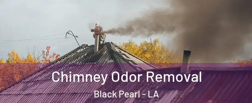 Chimney Odor Removal Black Pearl - LA