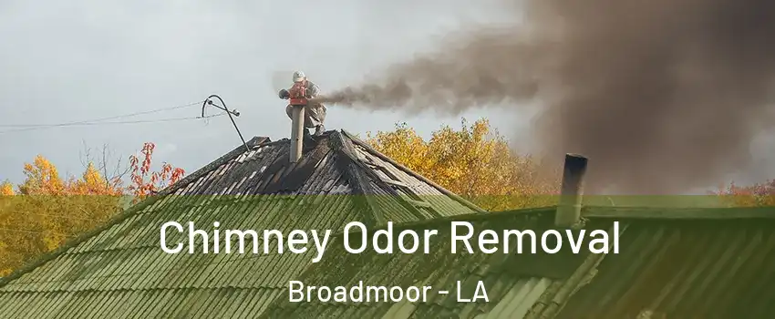 Chimney Odor Removal Broadmoor - LA