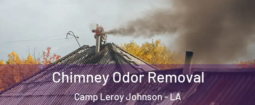 Chimney Odor Removal Camp Leroy Johnson - LA