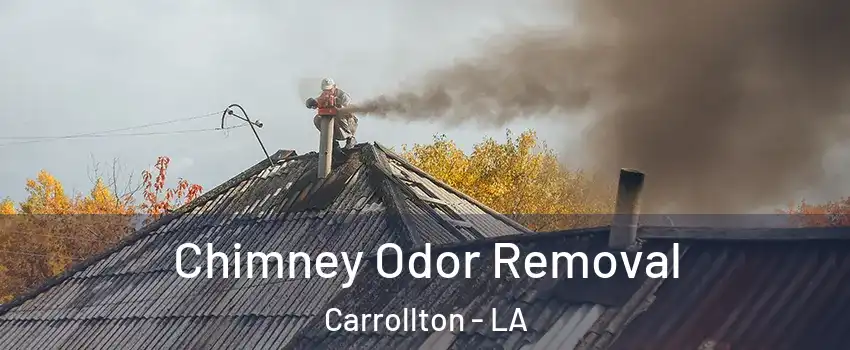 Chimney Odor Removal Carrollton - LA