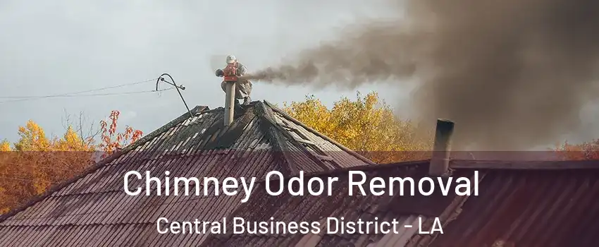 Chimney Odor Removal Central Business District - LA