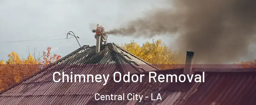 Chimney Odor Removal Central City - LA