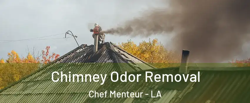 Chimney Odor Removal Chef Menteur - LA