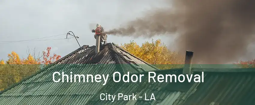 Chimney Odor Removal City Park - LA