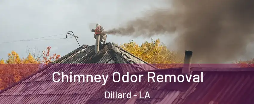 Chimney Odor Removal Dillard - LA