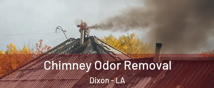 Chimney Odor Removal Dixon - LA