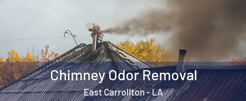 Chimney Odor Removal East Carrollton - LA