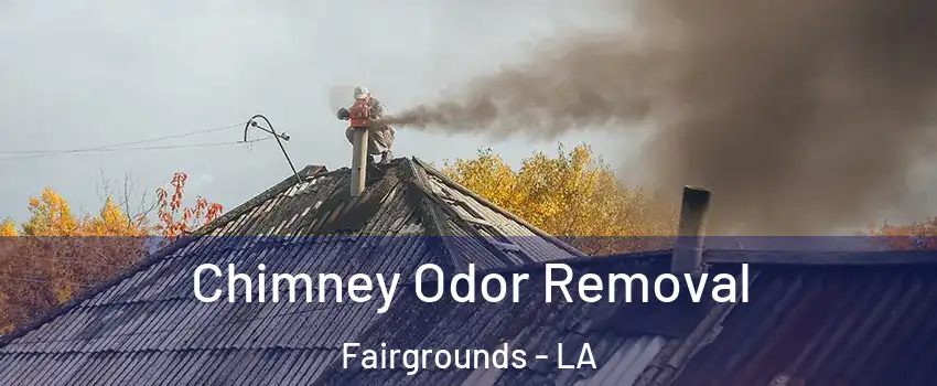 Chimney Odor Removal Fairgrounds - LA