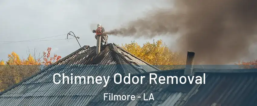 Chimney Odor Removal Filmore - LA