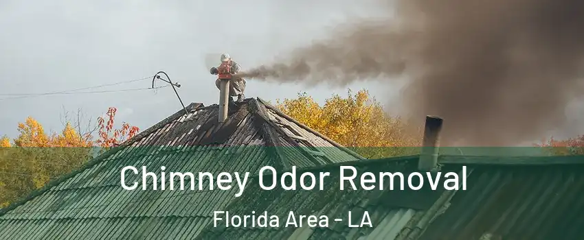 Chimney Odor Removal Florida Area - LA