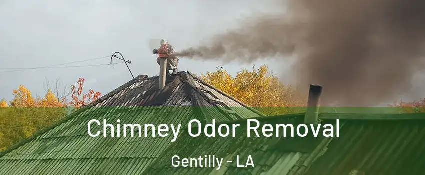 Chimney Odor Removal Gentilly - LA