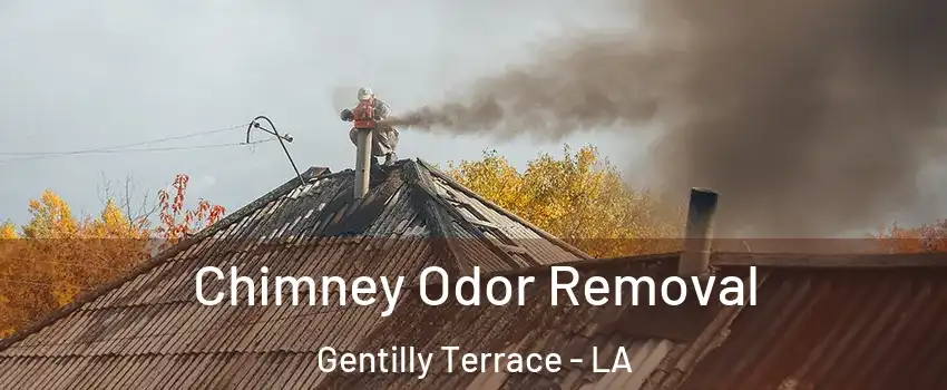 Chimney Odor Removal Gentilly Terrace - LA