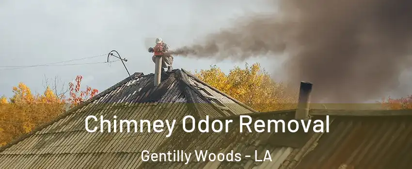 Chimney Odor Removal Gentilly Woods - LA