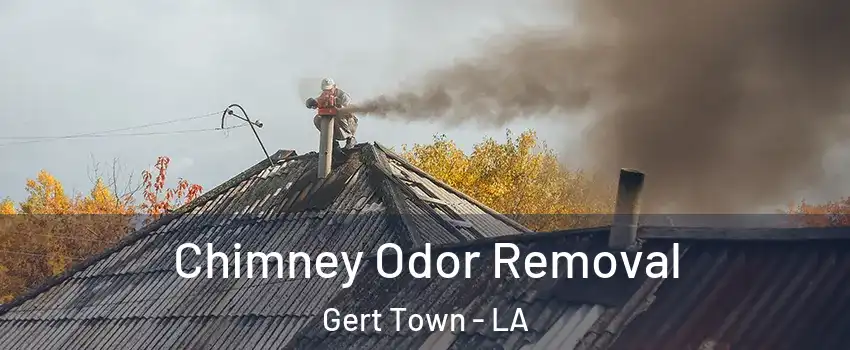 Chimney Odor Removal Gert Town - LA