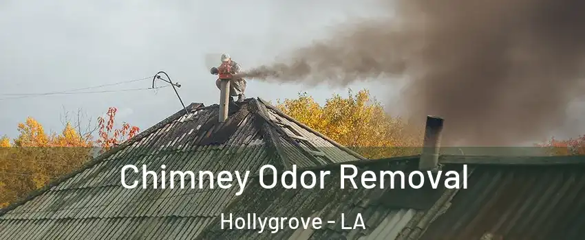 Chimney Odor Removal Hollygrove - LA