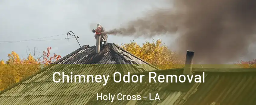 Chimney Odor Removal Holy Cross - LA