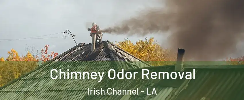 Chimney Odor Removal Irish Channel - LA