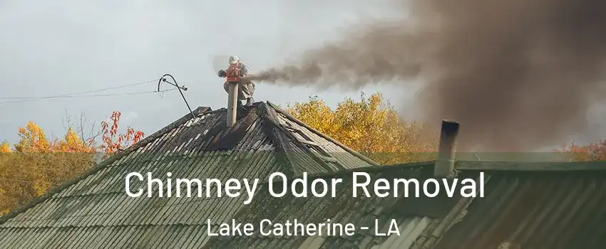 Chimney Odor Removal Lake Catherine - LA